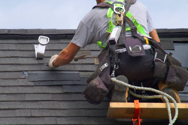 Professional Roofing Contractor in Louisburg, NC