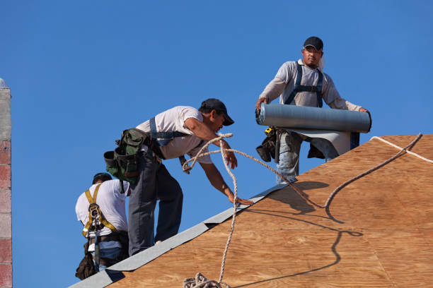 Best Residential Roofing Contractor  in Louisburg, NC