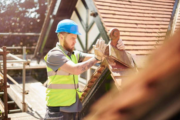 Best Commercial Roofing Services  in Louisburg, NC