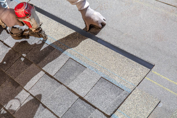 Best Roof Maintenance Services  in Louisburg, NC
